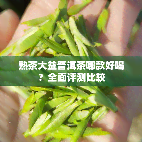 熟茶大益普洱茶哪款好喝？全面评测比较