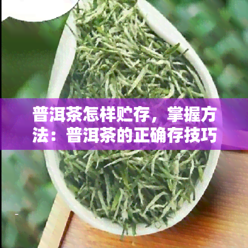 普洱茶怎样贮存，掌握方法：普洱茶的正确存技巧