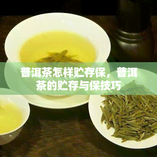 普洱茶怎样贮存保，普洱茶的贮存与保技巧