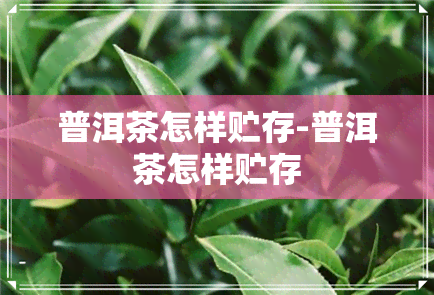 普洱茶怎样贮存-普洱茶怎样贮存