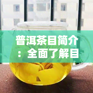 普洱茶目简介：全面了解目概述与计划书