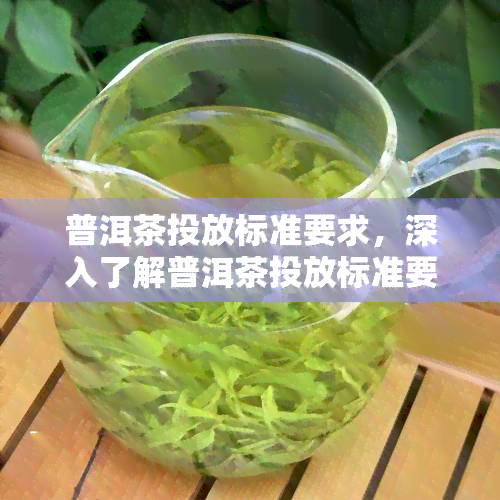 普洱茶投放标准要求，深入了解普洱茶投放标准要求，提升茶叶品质与市场竞争力