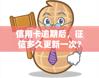 信用卡逾期后，多久更新一次？