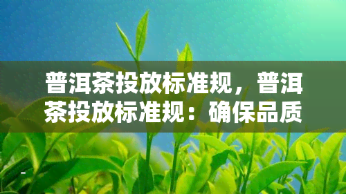 普洱茶投放标准规，普洱茶投放标准规：确保品质与市场认可