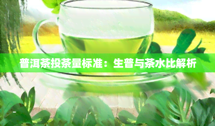 普洱茶投茶量标准：生普与茶水比解析