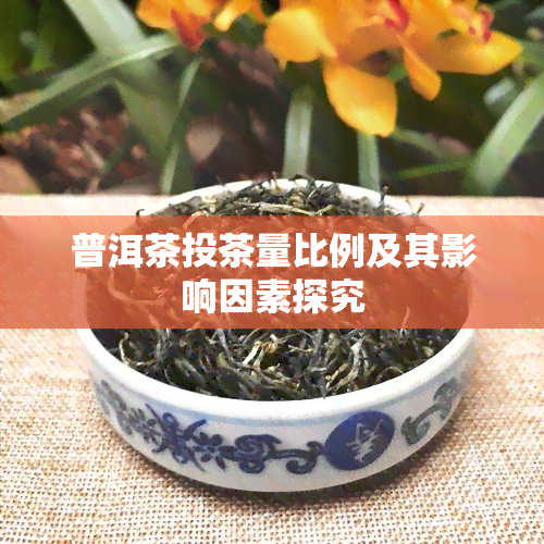 普洱茶投茶量比例及其影响因素探究