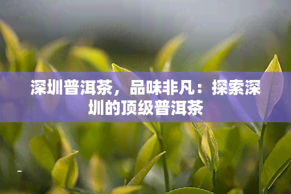 深圳普洱茶，品味非凡：探索深圳的顶级普洱茶