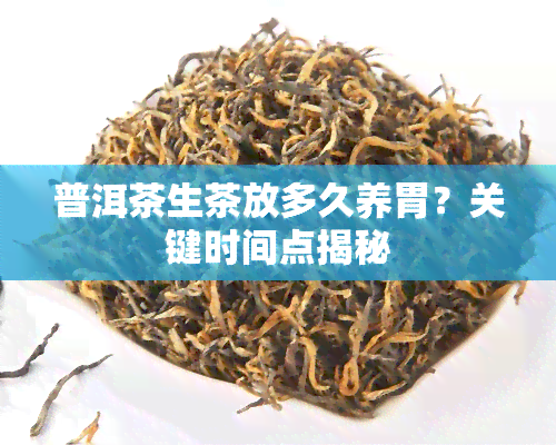 普洱茶生茶放多久养胃？关键时间点揭秘