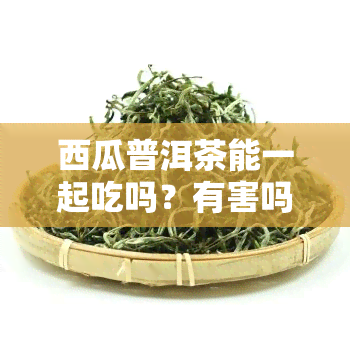 西瓜普洱茶能一起吃吗？有害吗？