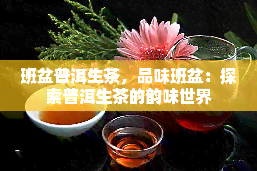 班盆普洱生茶，品味班盆：探索普洱生茶的韵味世界