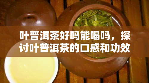 叶普洱茶好吗能喝吗，探讨叶普洱茶的口感和功效，是否适合饮用？