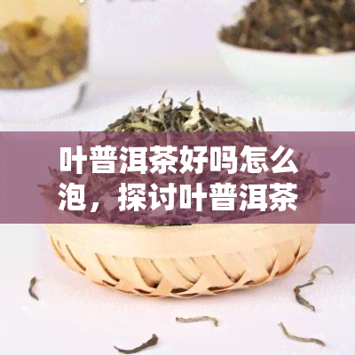 叶普洱茶好吗怎么泡，探讨叶普洱茶的品质与冲泡方法：你的好选择吗？