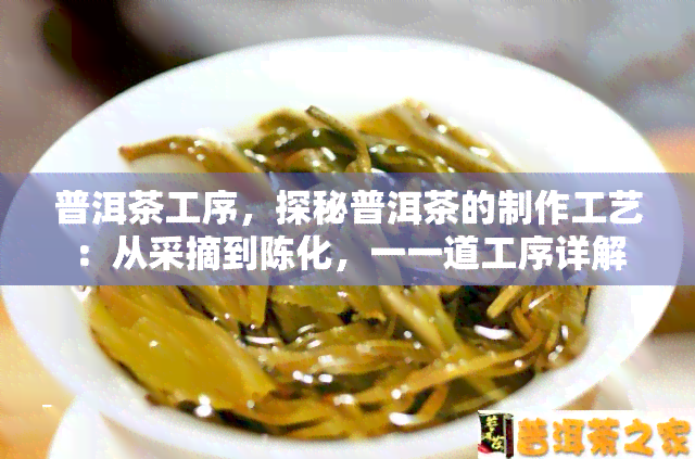 普洱茶工序，探秘普洱茶的制作工艺：从采摘到陈化，一一道工序详解