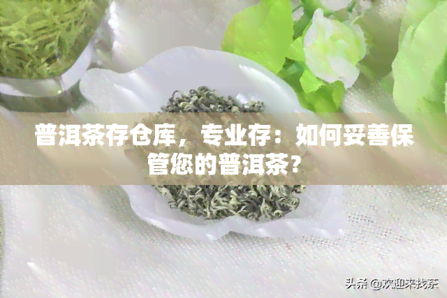 普洱茶存仓库，专业存：如何妥善保管您的普洱茶？