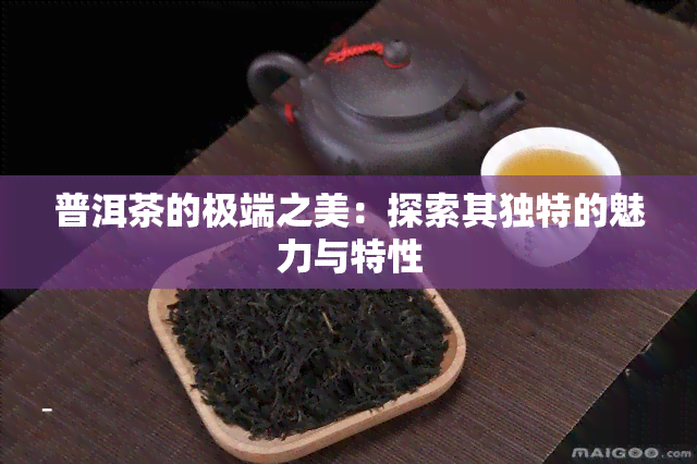 普洱茶的极端之美：探索其独特的魅力与特性