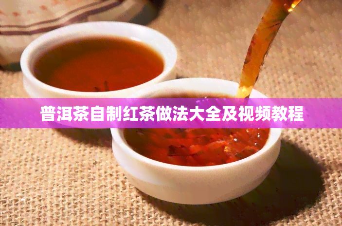 普洱茶自制红茶做法大全及视频教程