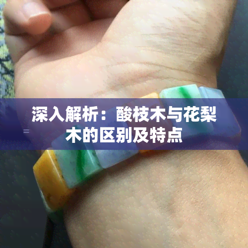 深入解析：酸枝木与花梨木的区别及特点