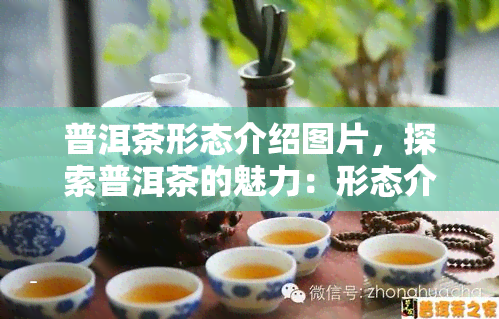 普洱茶形态介绍图片，探索普洱茶的魅力：形态介绍与精美图片