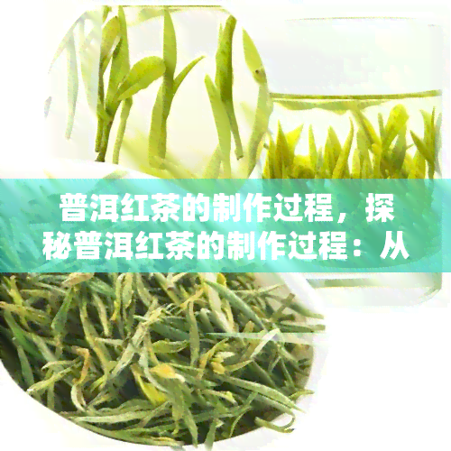 普洱红茶的制作过程，探秘普洱红茶的制作过程：从采摘到品鉴的全过程解析