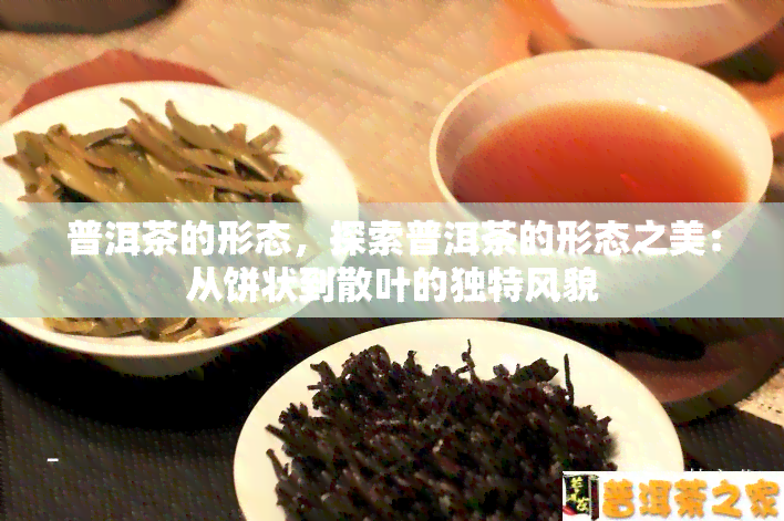 普洱茶的形态，探索普洱茶的形态之美：从饼状到散叶的独特风貌