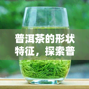 普洱茶的形状特征，探索普洱茶的独特形状特征：一次视觉与味觉的双重享受