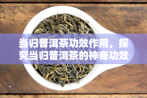 当归普洱茶功效作用，探究当归普洱茶的神奇功效与作用