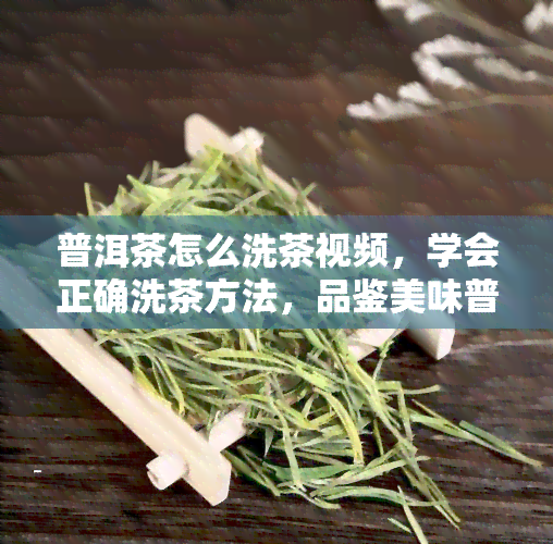 普洱茶怎么洗茶视频，学会正确洗茶方法，品鉴美味普洱茶！