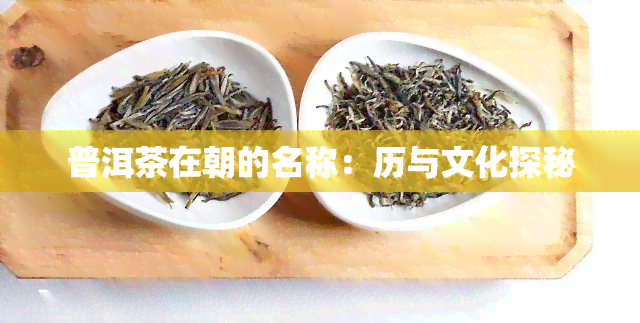 普洱茶在朝的名称：历与文化探秘