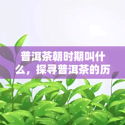 普洱茶朝时期叫什么，探寻普洱茶的历：朝时期的名字是什么？