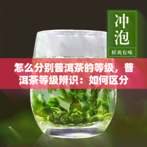 怎么分别普洱茶的等级，普洱茶等级辨识：如何区分不同级别的普洱茶？