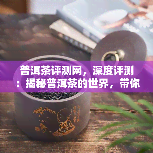 普洱茶评测网，深度评测：揭秘普洱茶的世界，带你了解普洱茶评测网