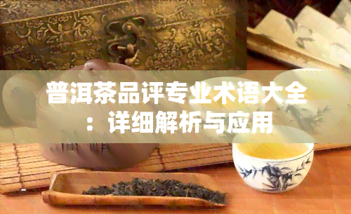 普洱茶品评专业术语大全：详细解析与应用