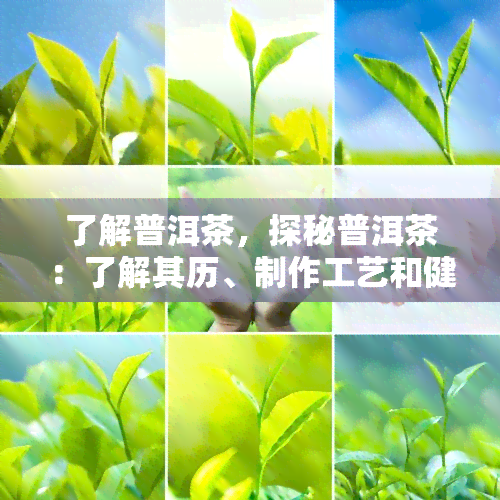 了解普洱茶，探秘普洱茶：了解其历、制作工艺和健益处