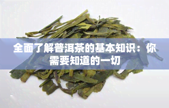 全面了解普洱茶的基本知识：你需要知道的一切