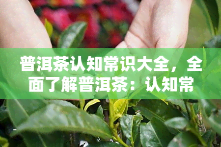 普洱茶认知常识大全，全面了解普洱茶：认知常识大全