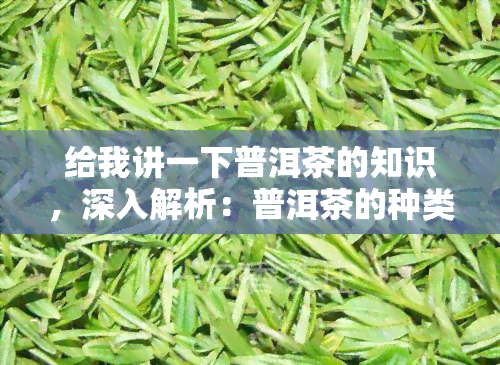 给我讲一下普洱茶的知识，深入解析：普洱茶的种类、制作工艺和品鉴技巧