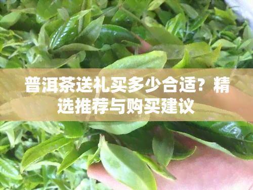 普洱茶送礼买多少合适？精选推荐与购买建议