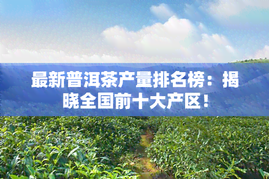 最新普洱茶产量排名榜：揭晓全国前十大产区！