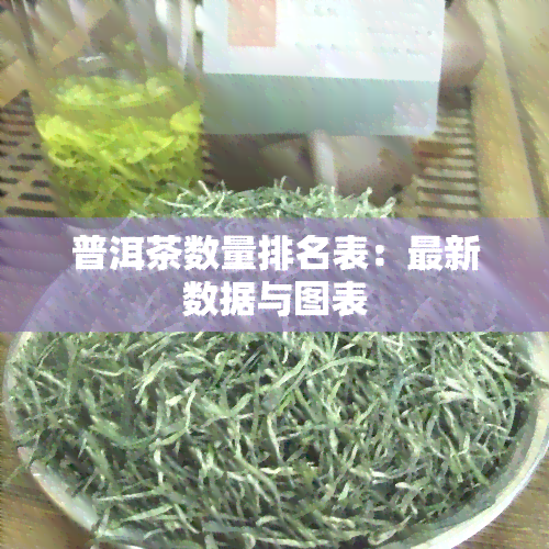 普洱茶数量排名表：最新数据与图表