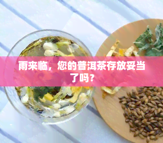 雨来临，您的普洱茶存放妥当了吗？