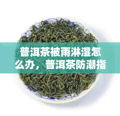 普洱茶被雨淋湿怎么办，普洱茶防潮指南：雨淋后如何妥善处理？