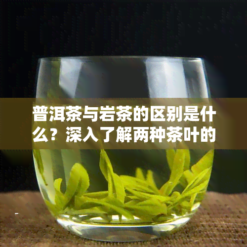 普洱茶与岩茶的区别是什么？深入了解两种茶叶的不同之处