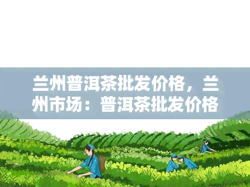 兰州普洱茶批发价格，兰州市场：普洱茶批发价格一览表