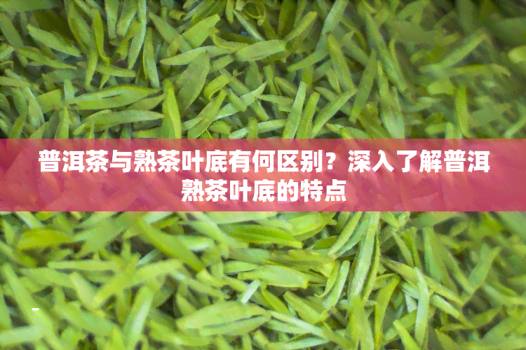 普洱茶与熟茶叶底有何区别？深入了解普洱熟茶叶底的特点