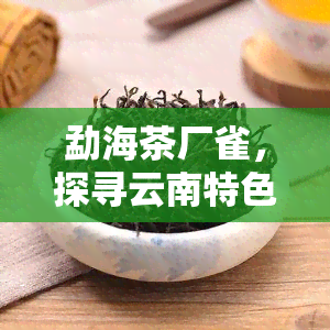 勐海茶厂雀，探寻云南特色：品鉴勐海茶厂雀系列茶叶的魅力