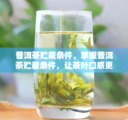 普洱茶贮藏条件，掌握普洱茶贮藏条件，让茶叶口感更佳！