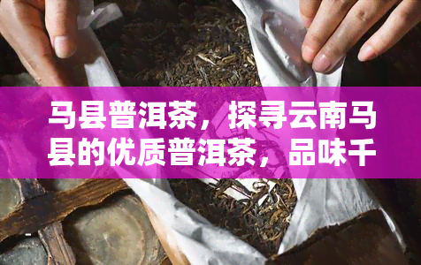 马县普洱茶，探寻云南马县的优质普洱茶，品味千年茶文化