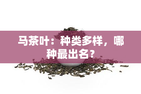 马茶叶：种类多样，哪种最出名？