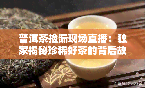 普洱茶捡漏现场直播：独家揭秘珍稀好茶的背后故事！