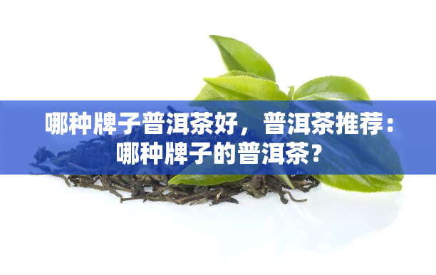 哪种牌子普洱茶好，普洱茶推荐：哪种牌子的普洱茶？